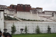 tibet8