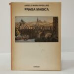 Praga o del disincanto. Sulla fine della “capitale magica d’Europa” – di Alessio Magaddino